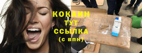 эйфоретик Богданович