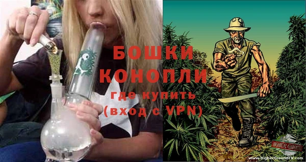 шишки Богородск