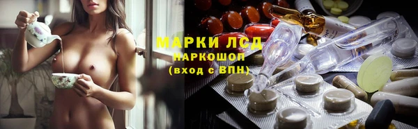 сатива Богородицк