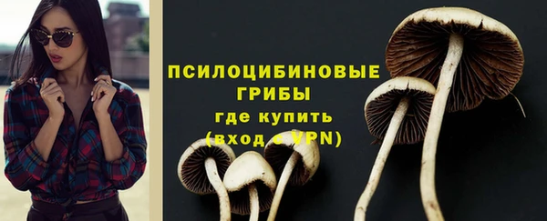 сатива Богородицк