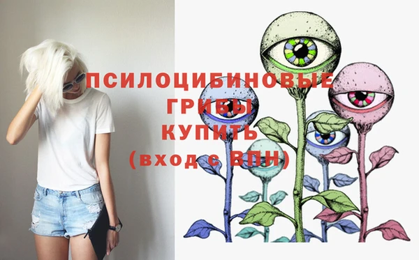 эйфоретик Богданович